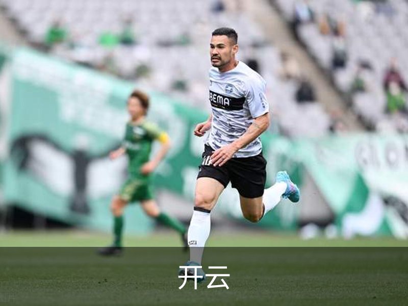 开云介绍